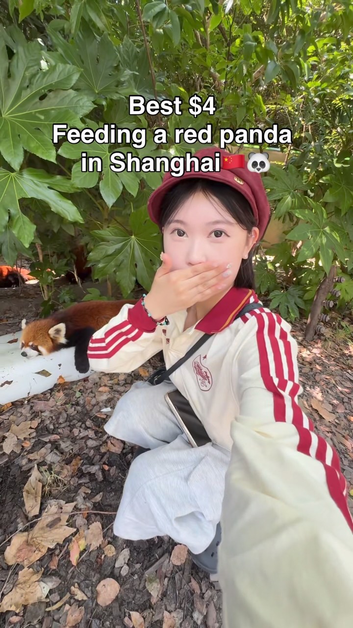Shanghai Animal Park Features Wildlife and Circus Shows