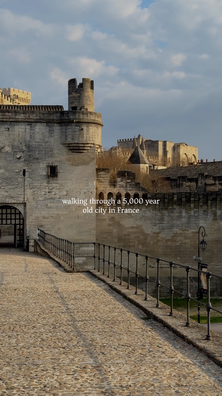 Avignon: Gothic Palace and Famous Bridge
