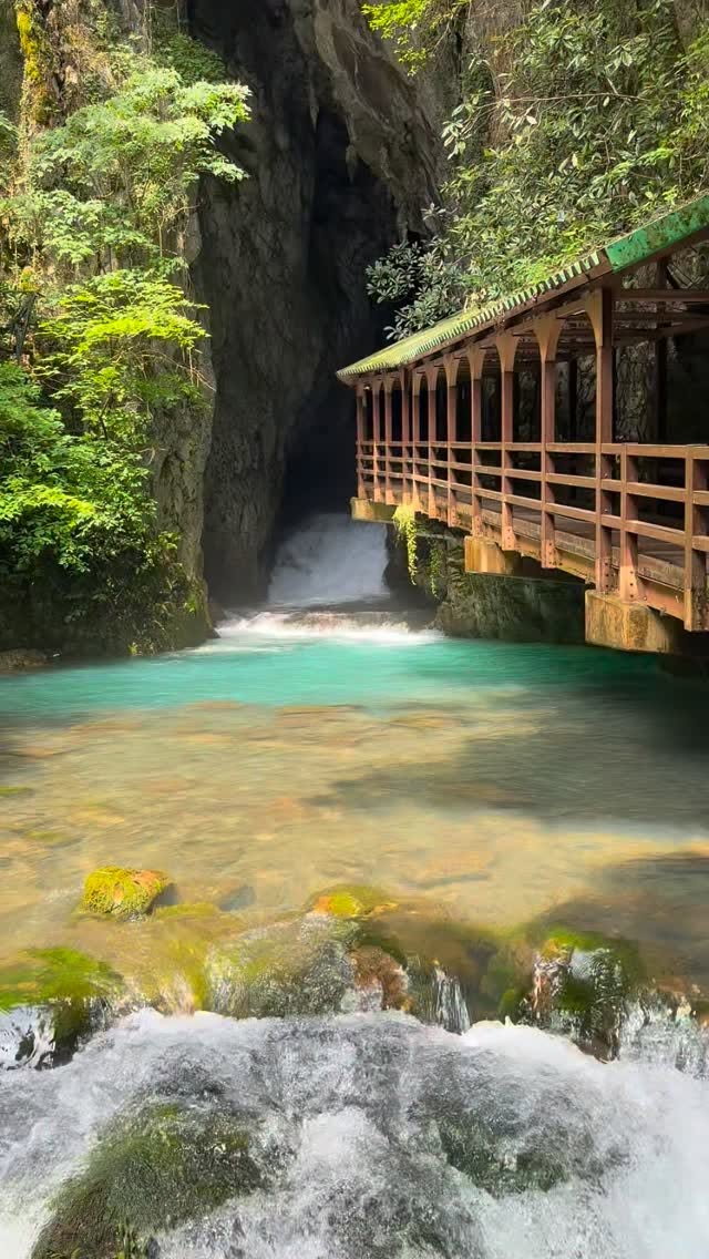 Explore Akiyoshido Cave's Natural Grandeur