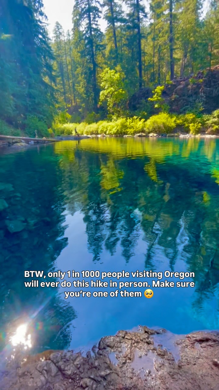 McKenzie River Trail Leads to Blue Pool