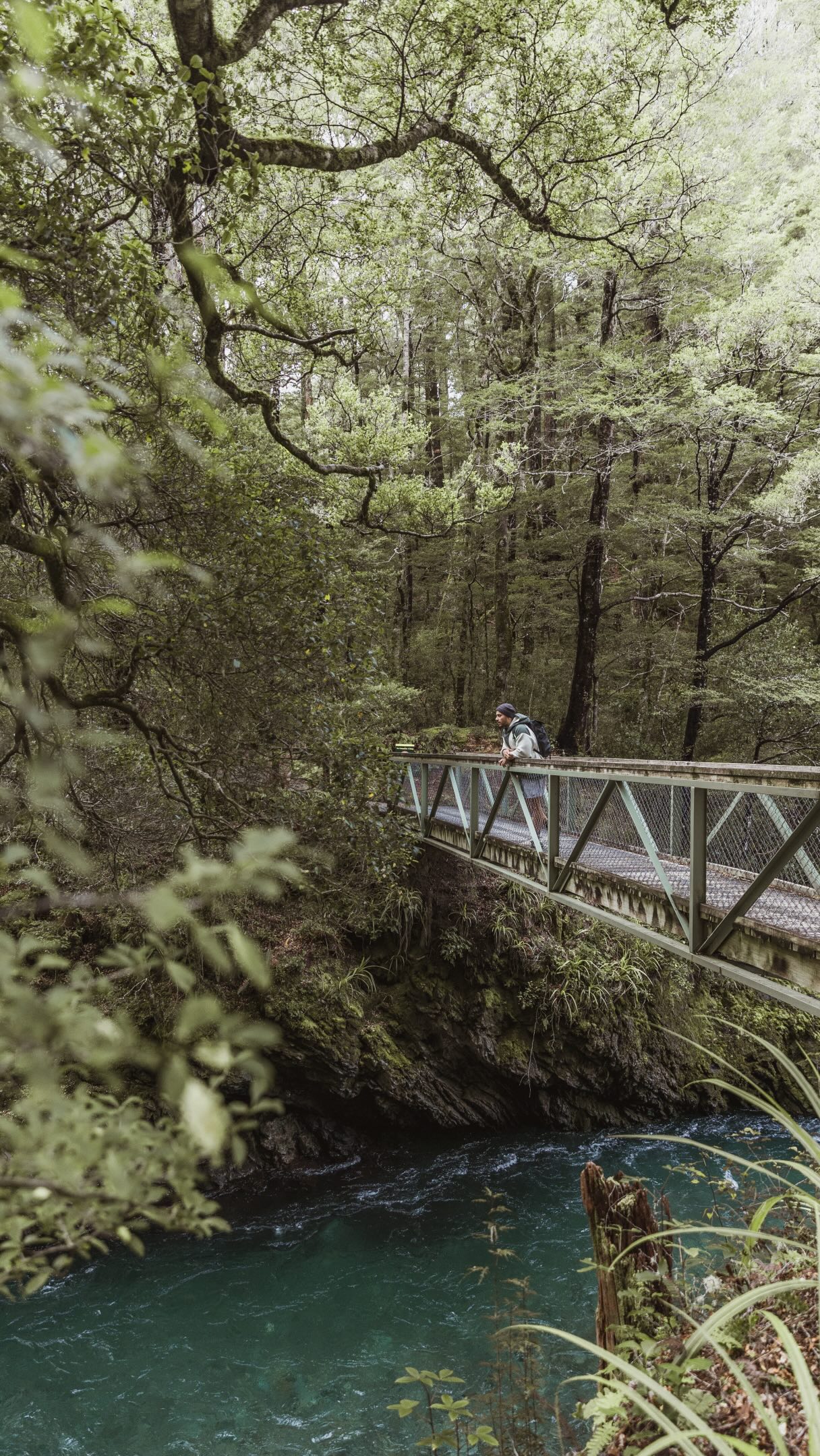 Five Stunning New Zealand Hikes To Revisit