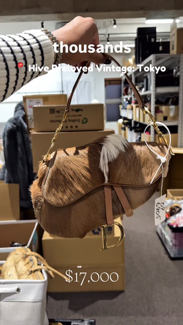 Osaka and Tokyo Vintage Luxury Bag Shopping Guide