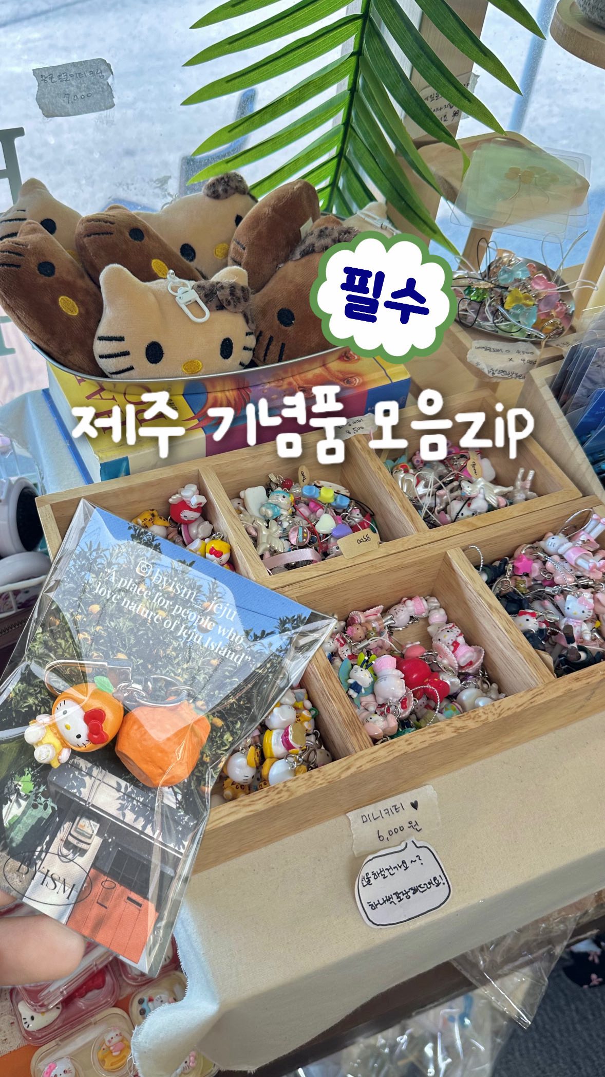 Jeju Island Souvenir Shopping Guide