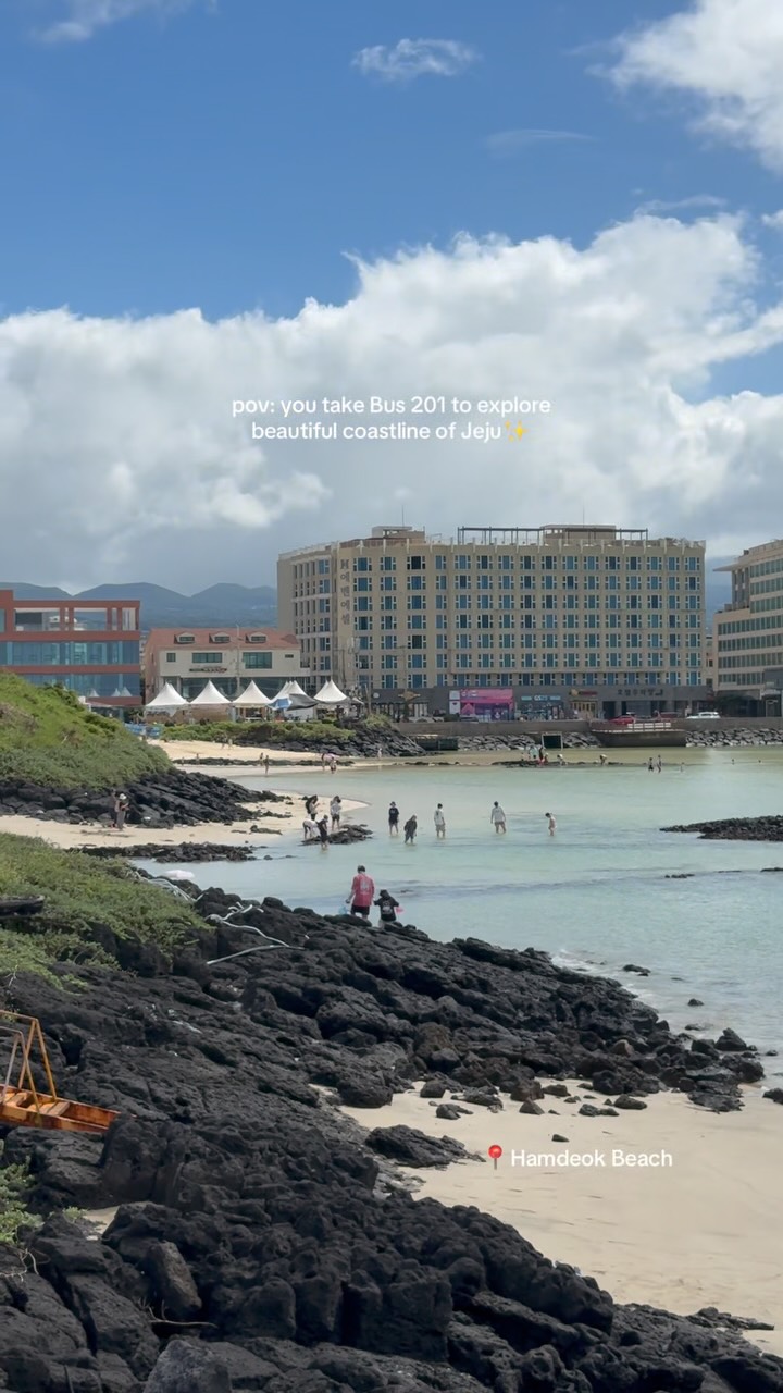 Bus 201 Explores Jeju's Eastern Beaches