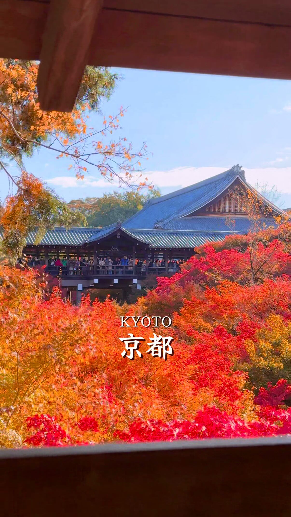 Kyoto's Autumn Foliage Amidst Temples