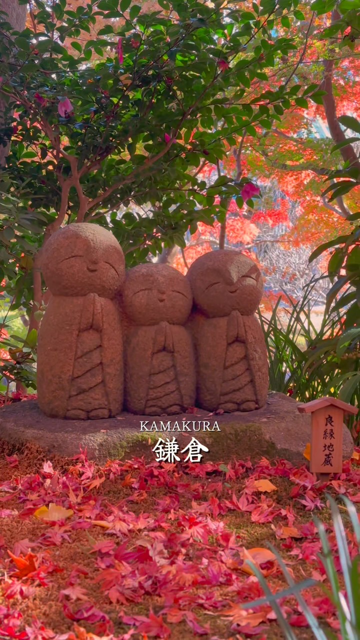 Kamakura Autumn Beauty: Temples and Scenery