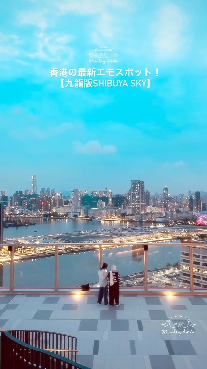 Victoria Harbour Views From Mega Sky Rooftop