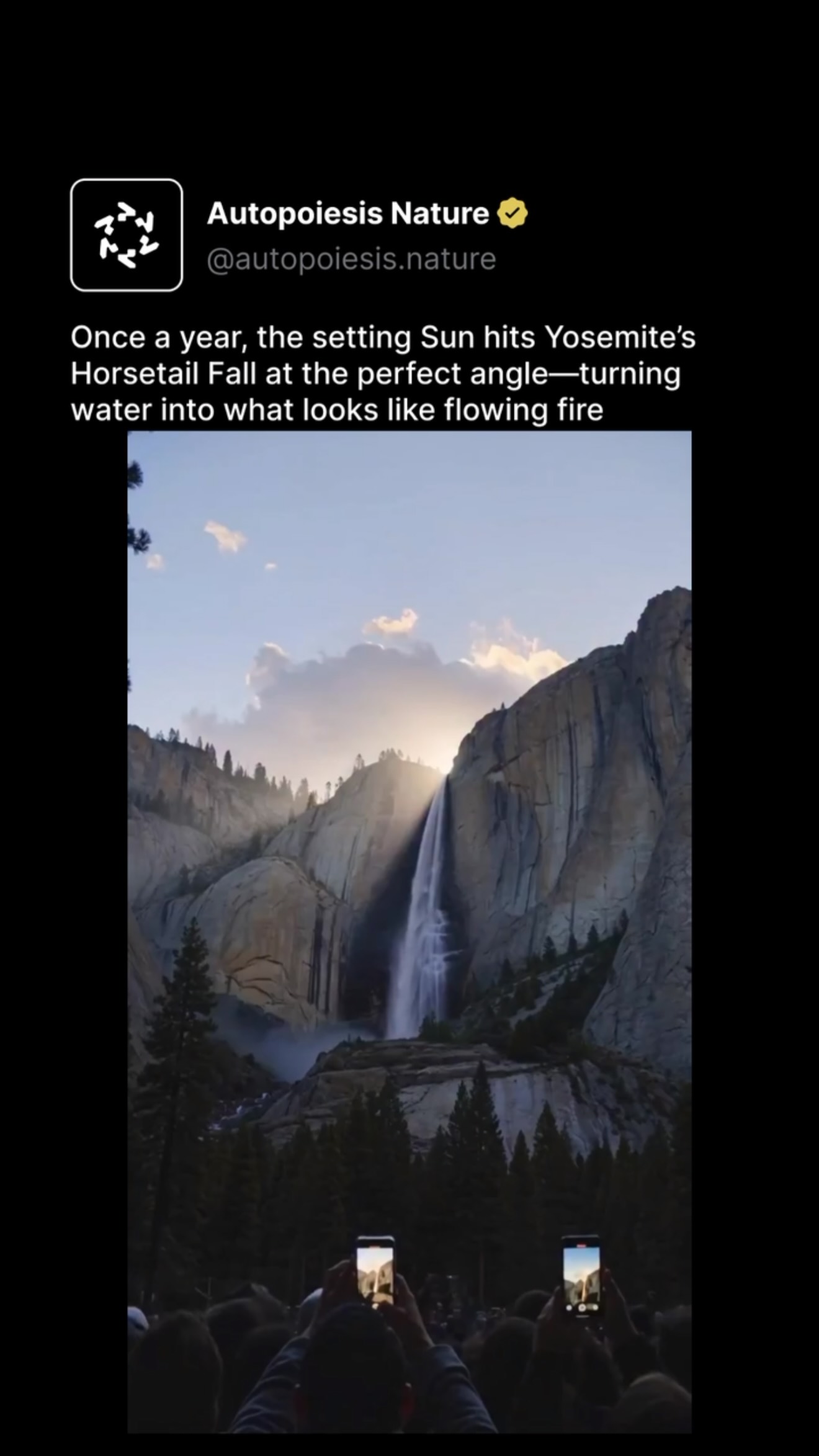 Yosemite's Horsetail Fall Firefall Phenomenon