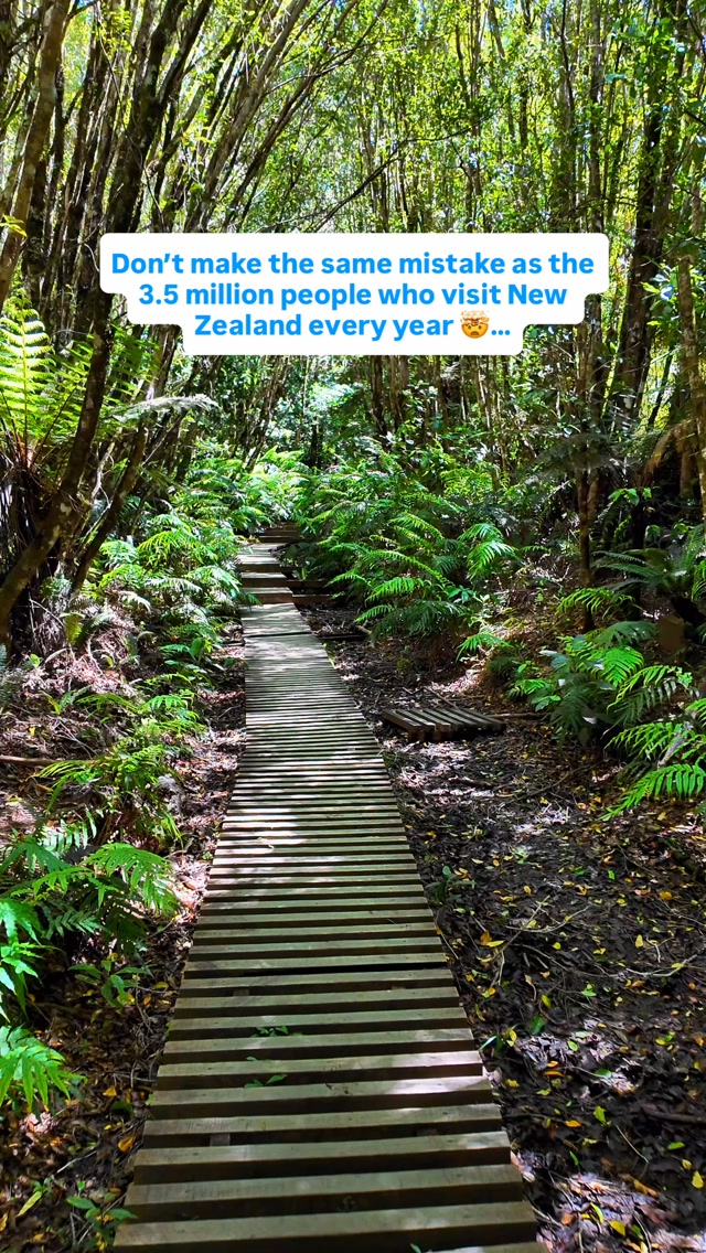 Taranaki Region's Natural Wonders And Coastal Formations