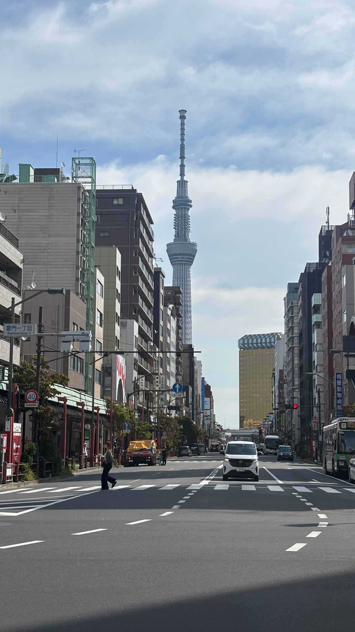Japanese Stores For Fashion, Home Goods, and More