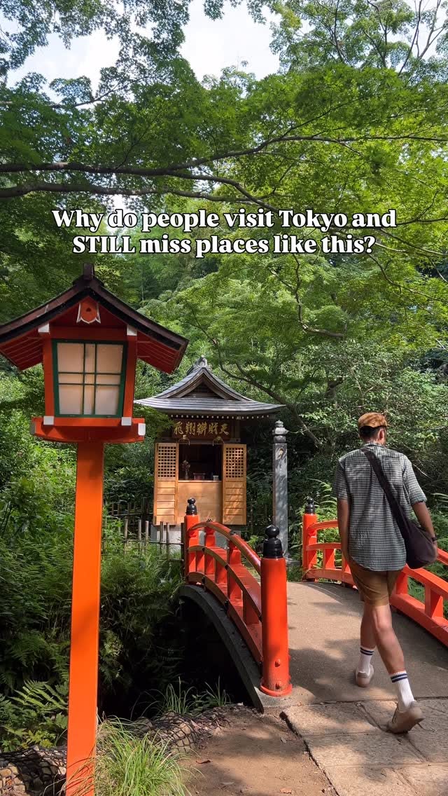 Tokyo's Hidden Natural Valley Escape
