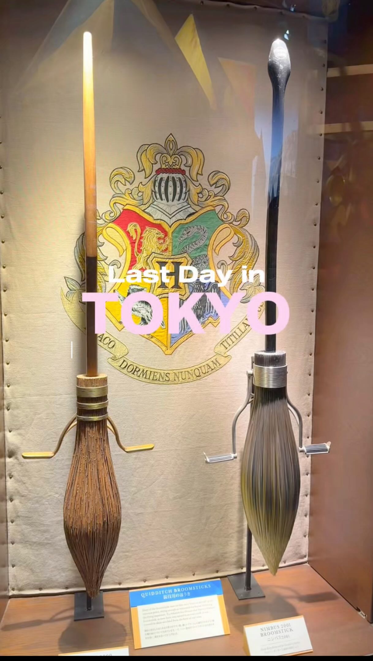 Harry Potter Studio Tour Tokyo: A Farewell to Japan