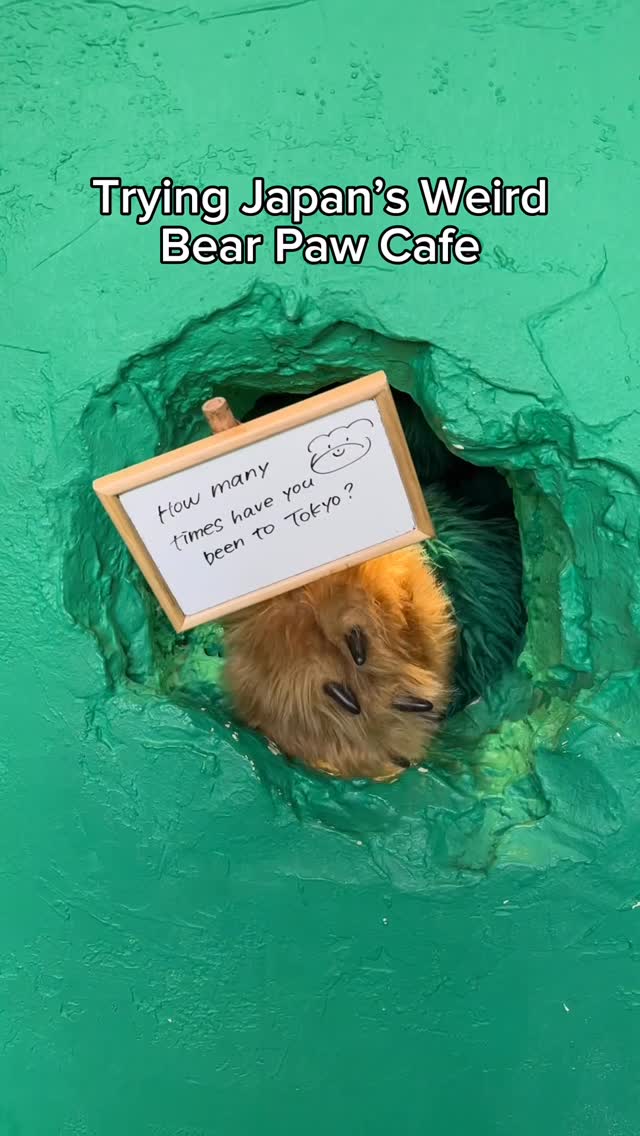 Weird Bear Paw Cafe Offers Drinks and Social Support