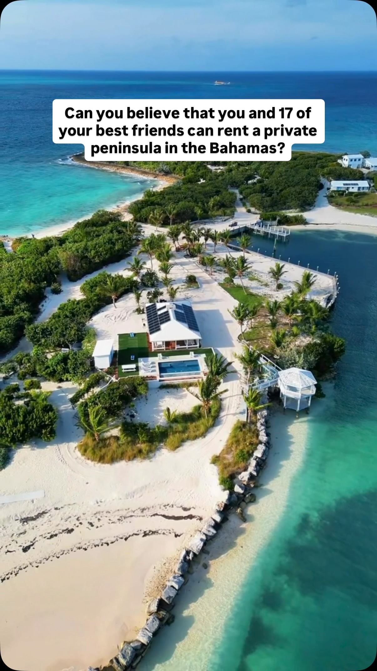 Beaches Where You Can Swim With Pigs And Stingrays