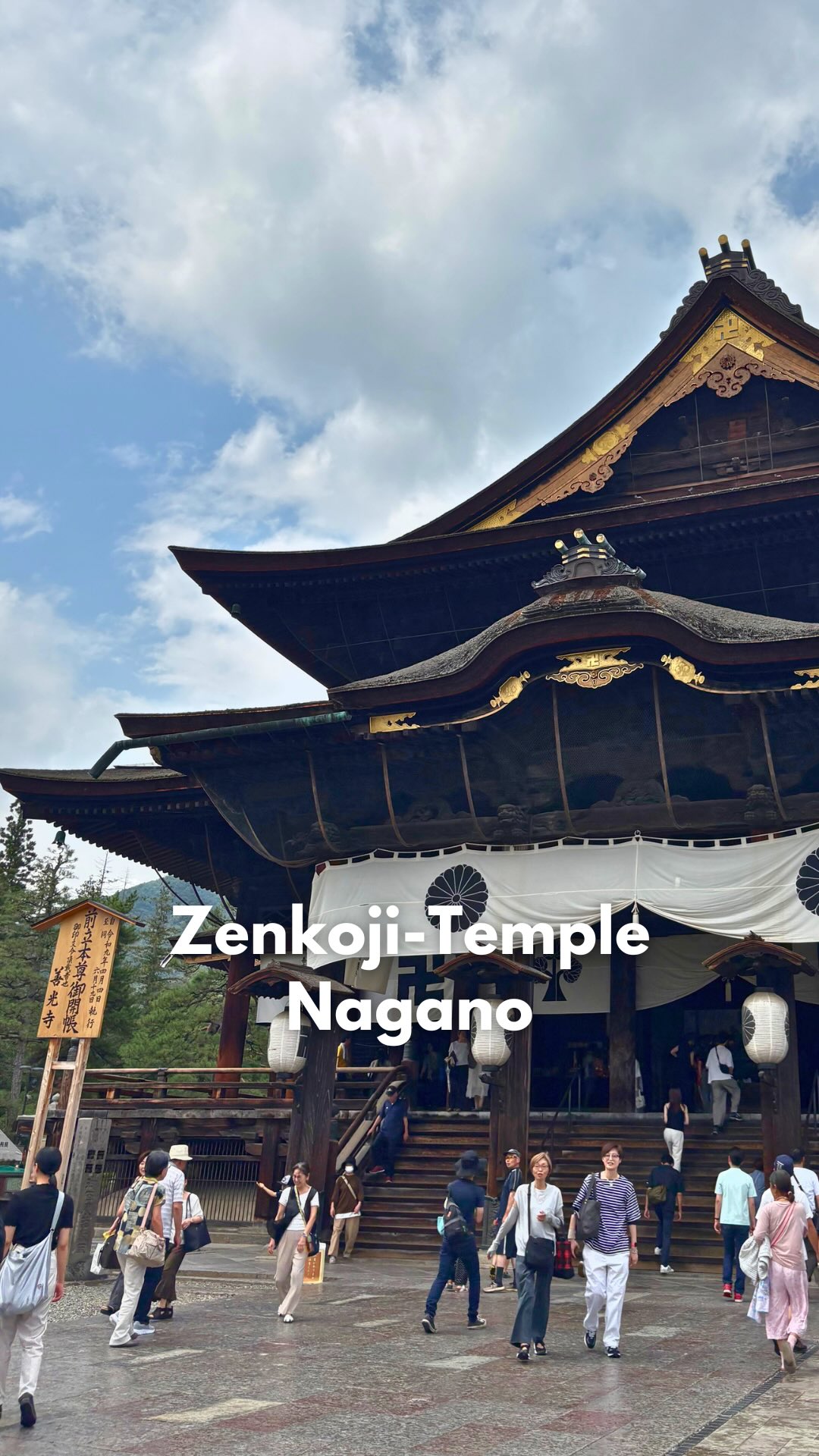 Temples and Train Stations of Japan