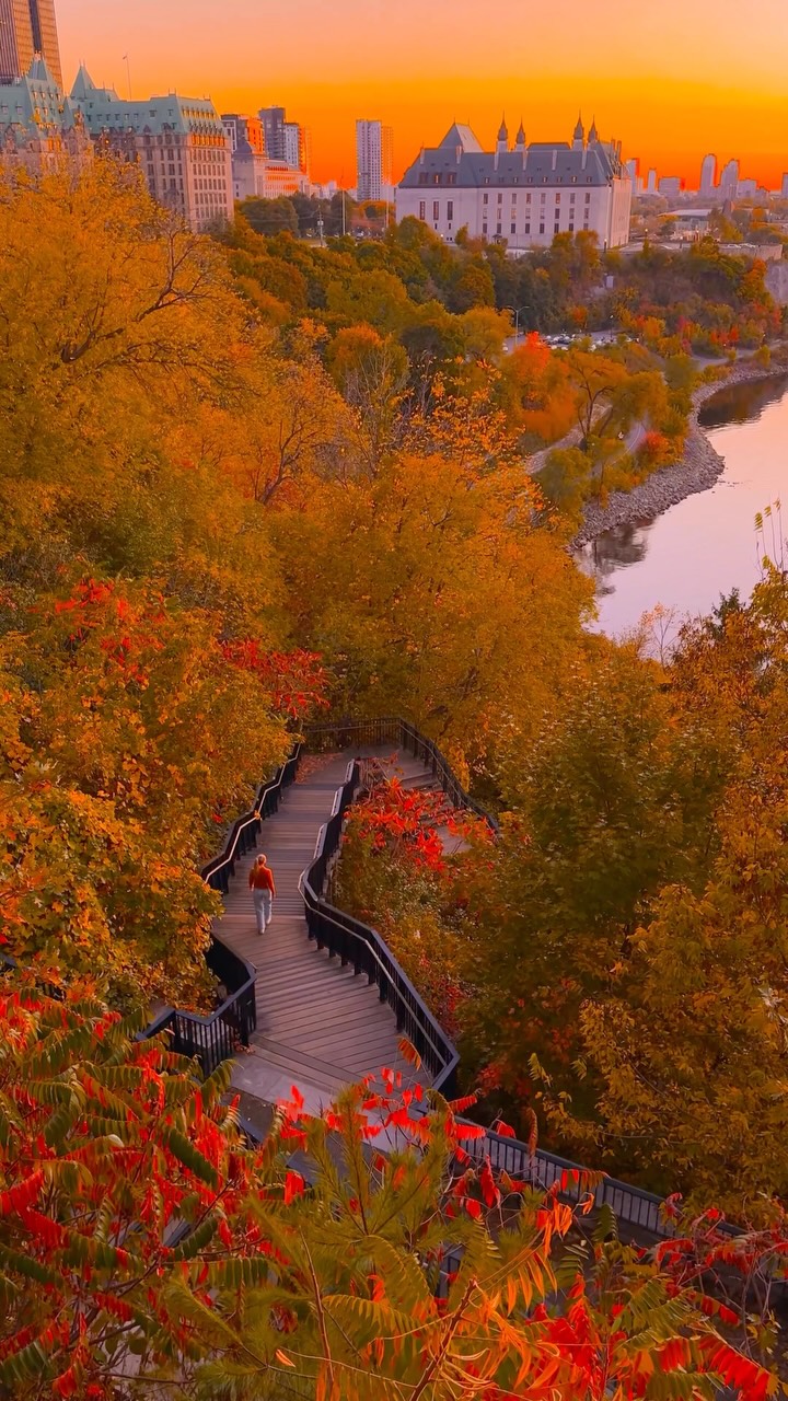 Ottawa's Fall Guide: Sustainable Spots and Activities