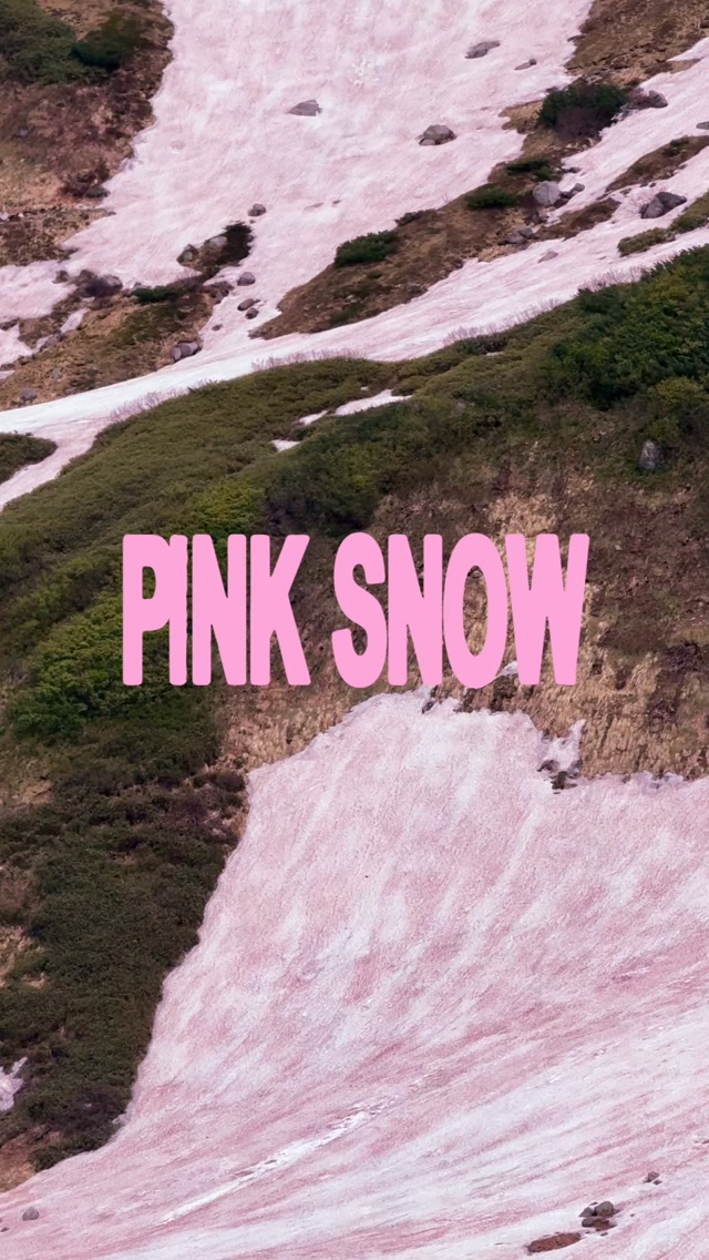 Tateyama's Algae-Infused Pink Snow Trail