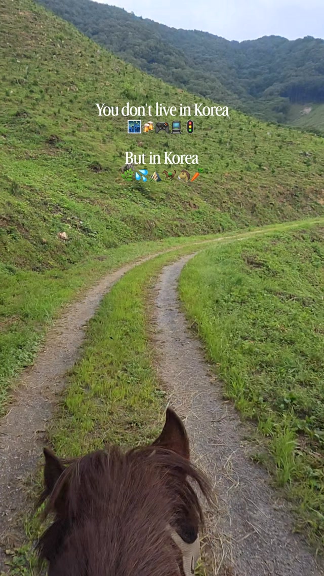Jeungwon University Public Riding Arena