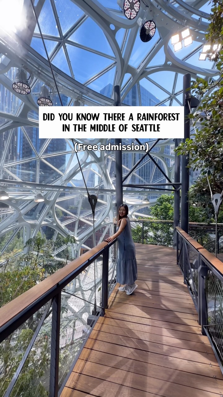 Seattle's Amazon Spheres Boasts Rainforest Ecosystem