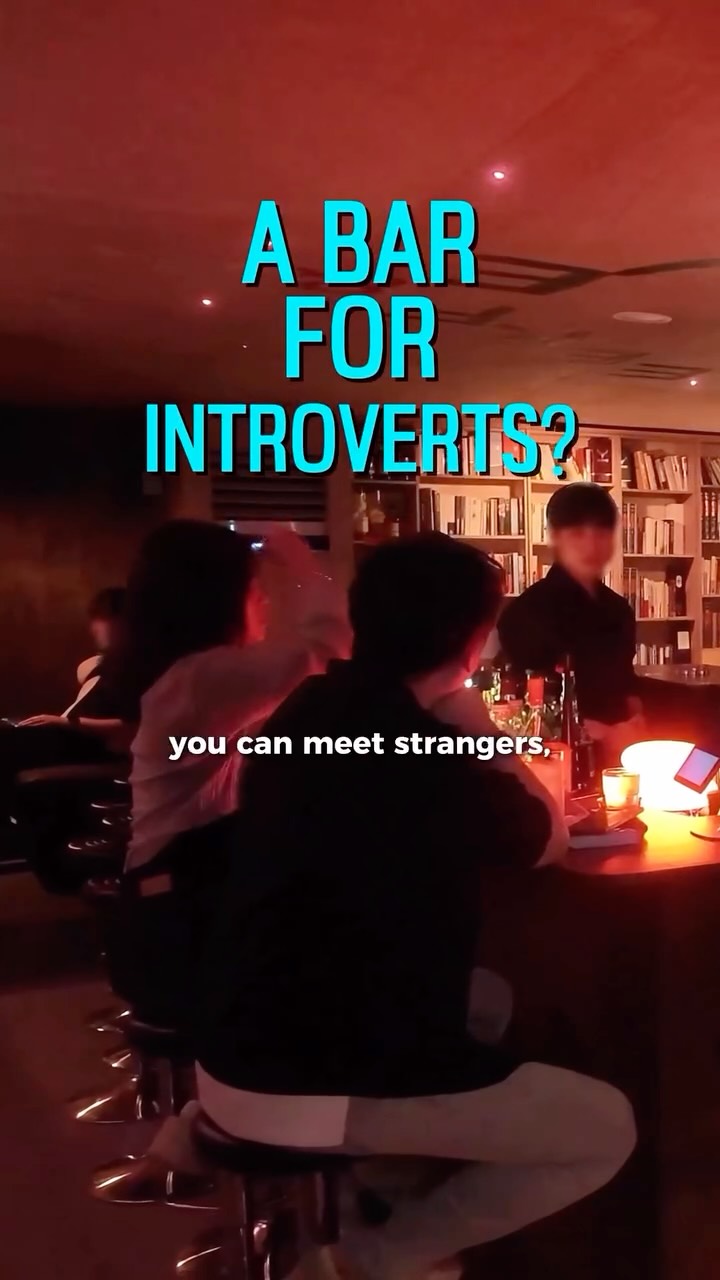 Introvert-Friendly Bars for Solo or Group Hangouts