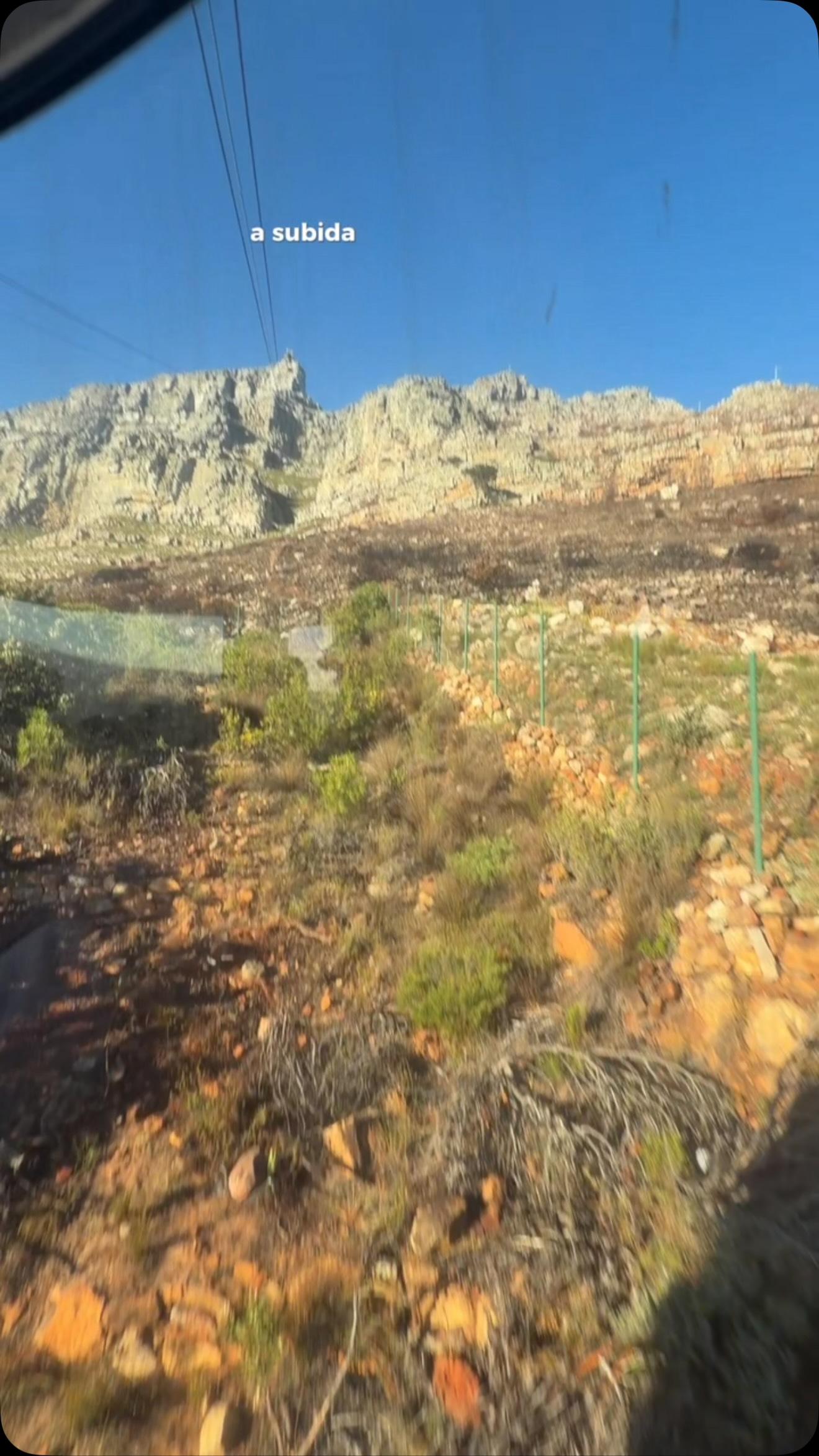 Cape Town Views and African Safari Adventures