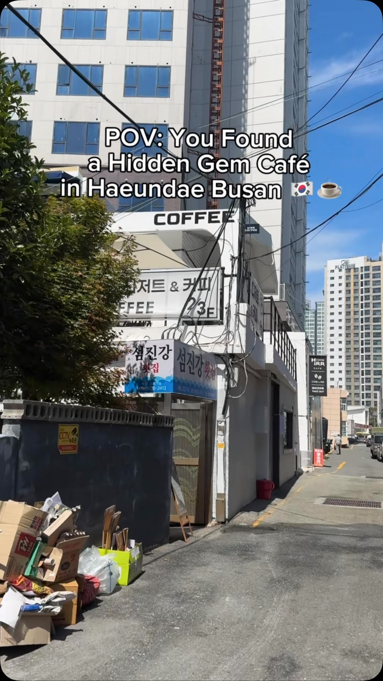 Hirr Coffee: Tiny Busan Cafe With Delicious Egg Tarts