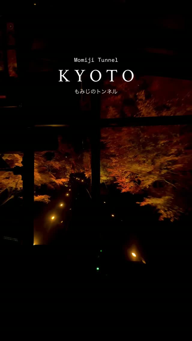Kyoto's Autumn Foliage Train Journey