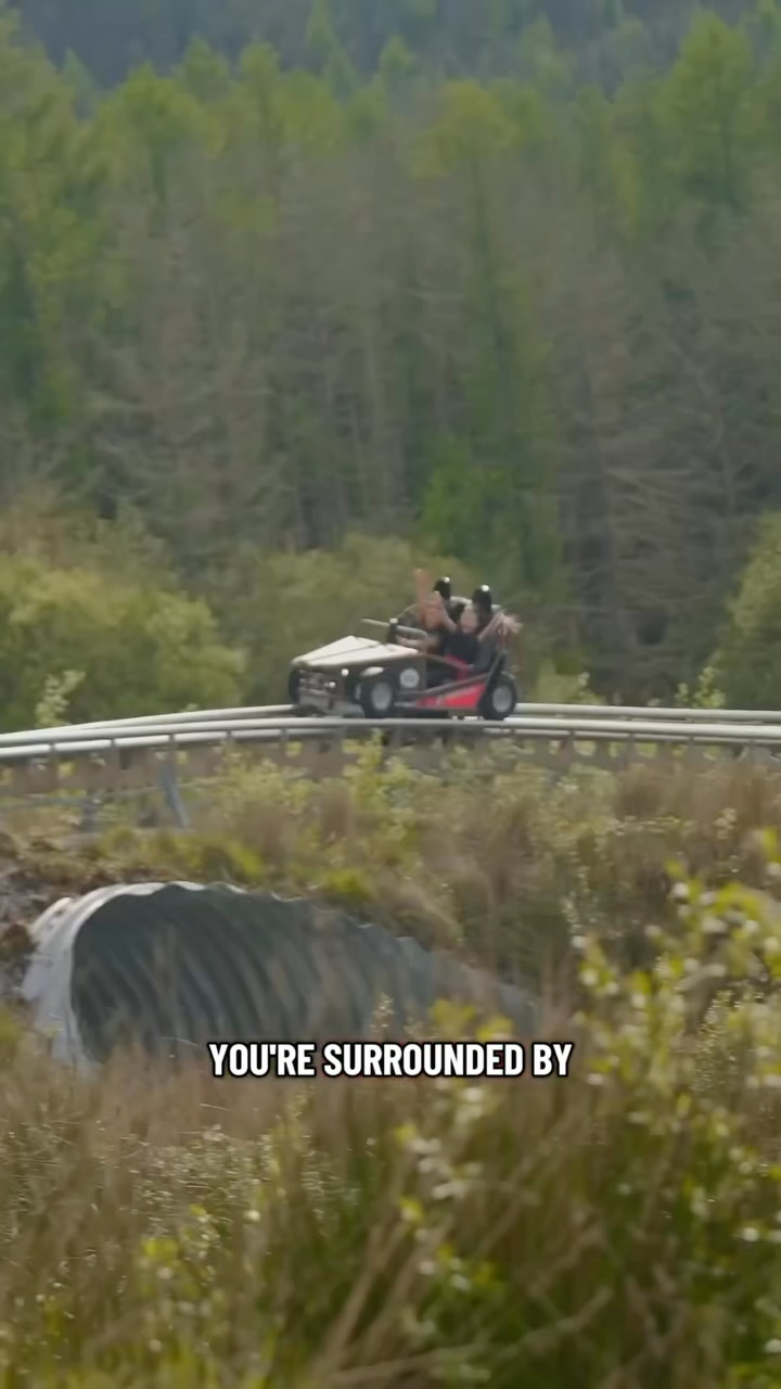 South Wales Adventure Parks: Coaster, Zipline, and Views