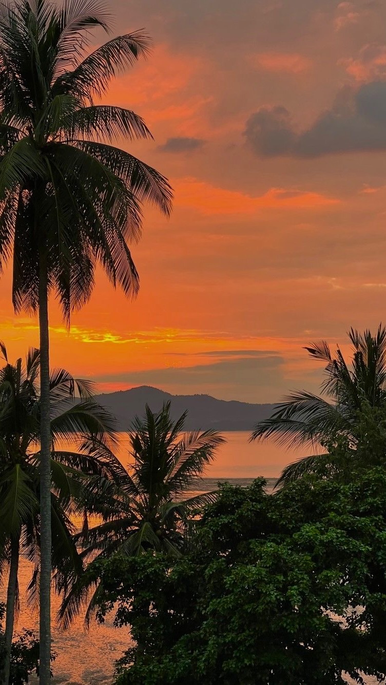 Coastal Gems Of Sri Lanka