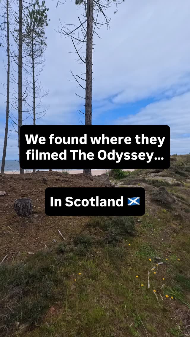 Culbin Forest: A Unique Coastal Woodland