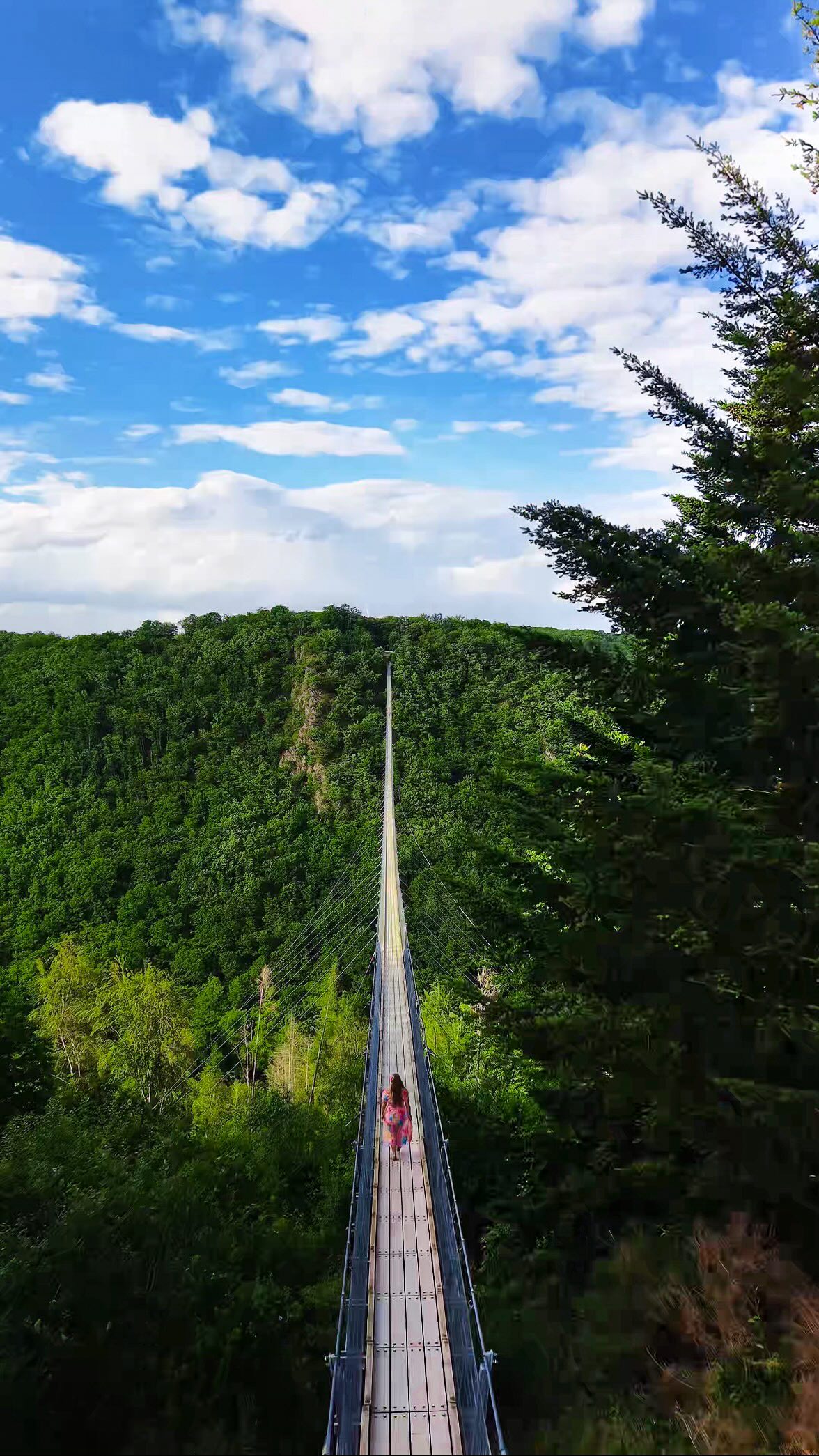 Geierlay Suspension Bridge: Germany's Free Epic Day Trip