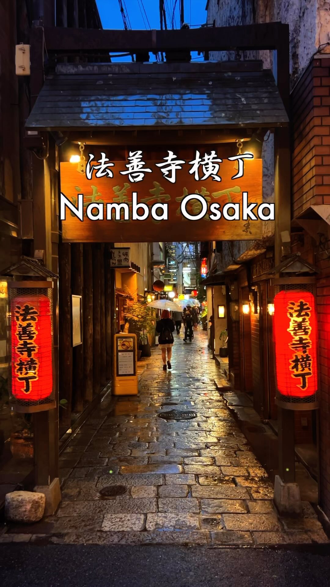 Hozenji Temple Alley: Osaka's Tranquil Dining Destination
