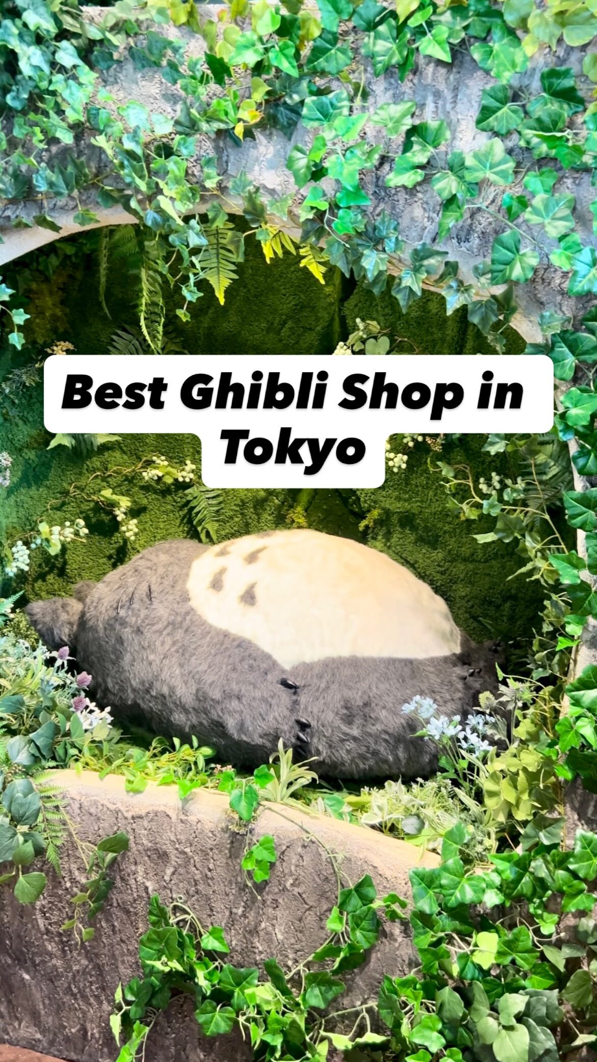 Ghibli Merchandise Haven in Tokyo