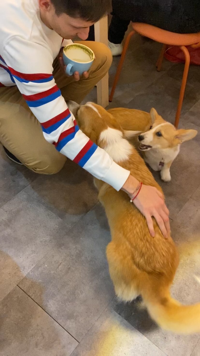 Barcelona Corgi Cafe For Pet-Friendly Fun