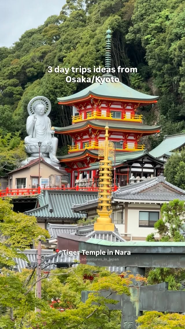 Nature and Temples Day Trips from Osaka and Kyoto