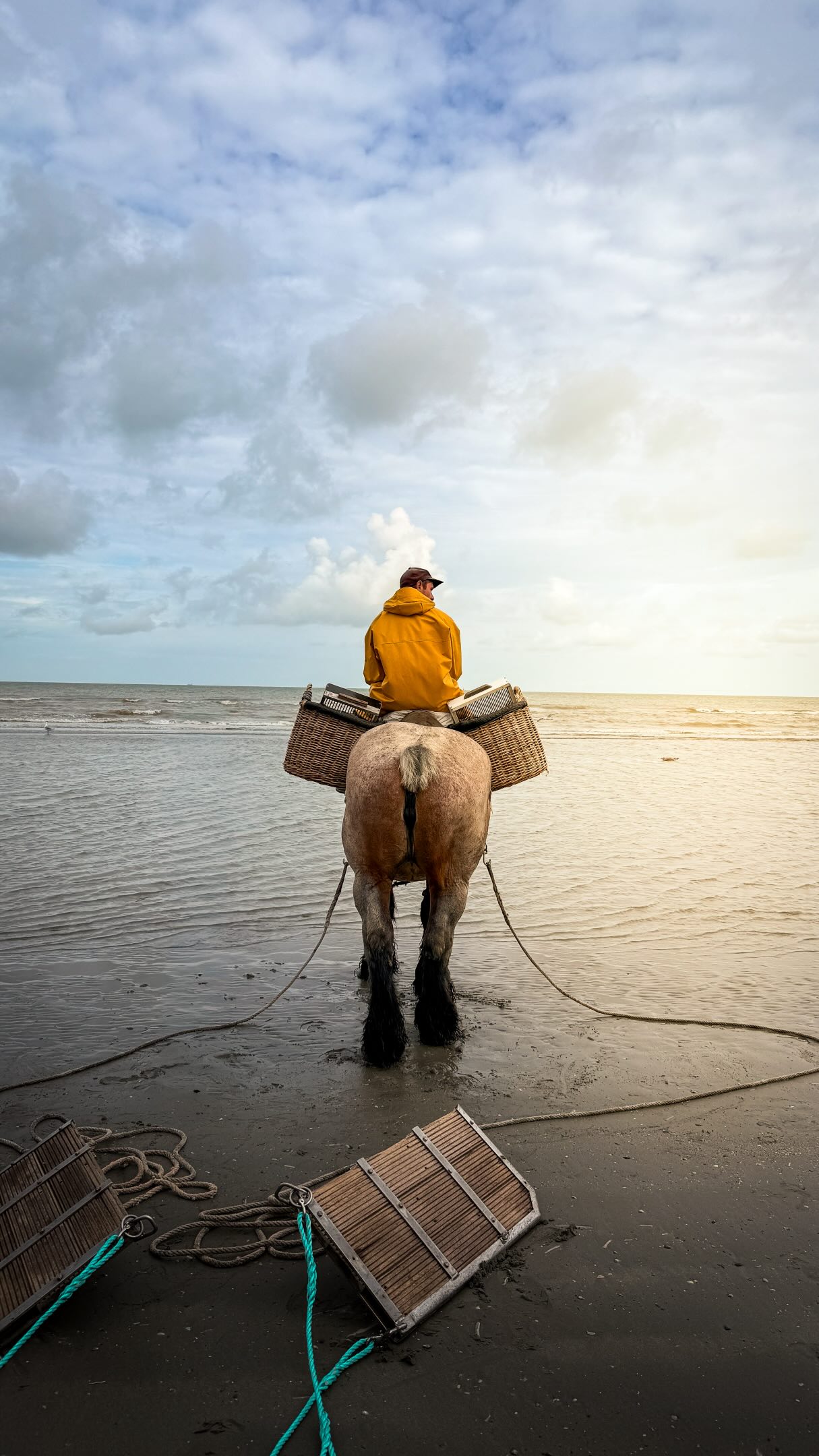 Oostduinkerke's UNESCO Shrimp Fishing Tradition