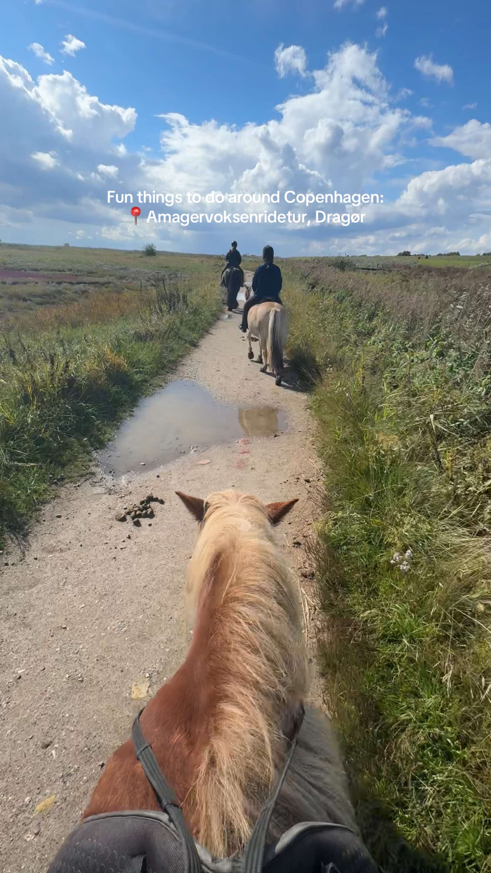 Beginner's Horseback Riding Tour Through Forest and Beach