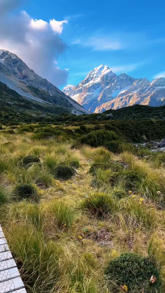 New Zealand's Longest Suspension Bridge Opens at Mount Cook