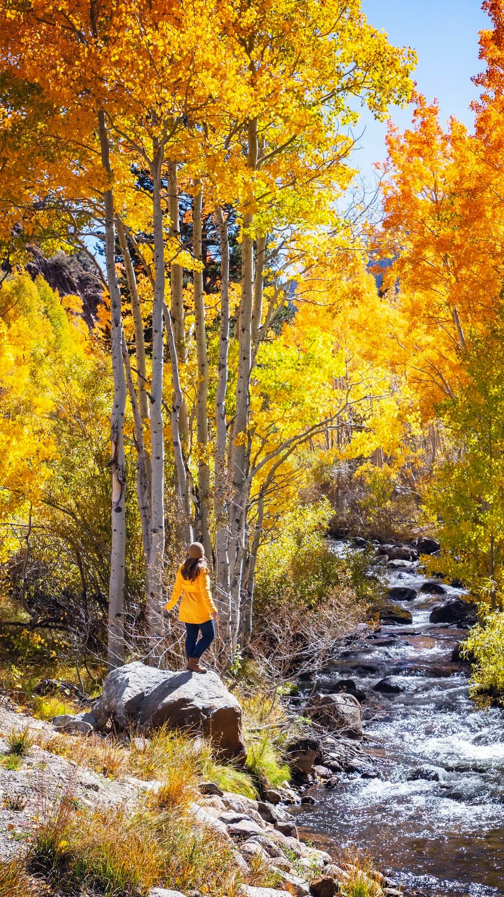 Eastern Sierra Fall Colors Scouting Trip