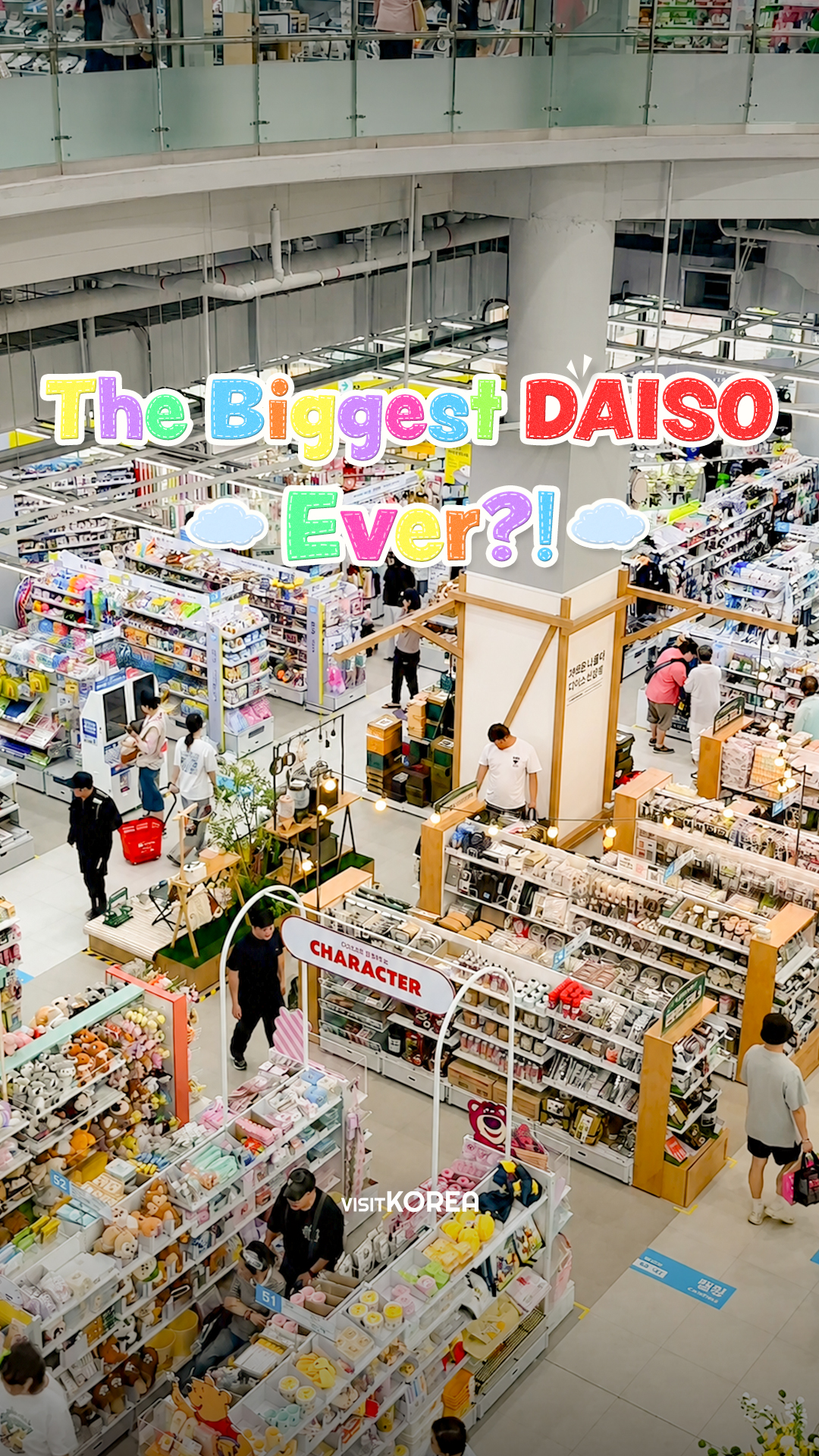 Explore a Spacious Daiso in Paju, Korea