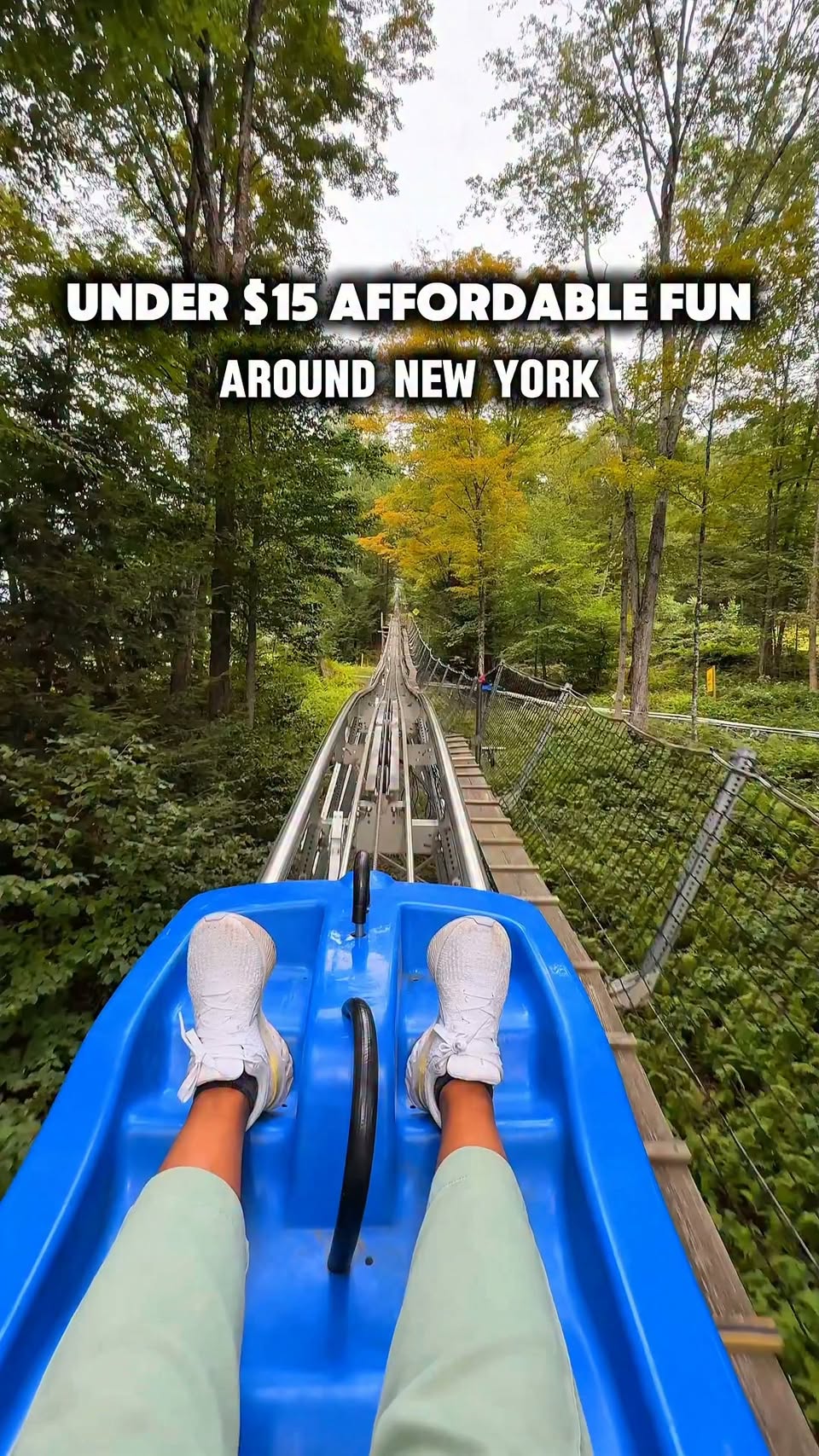 Five Affordable Attractions Across New York and Beyond