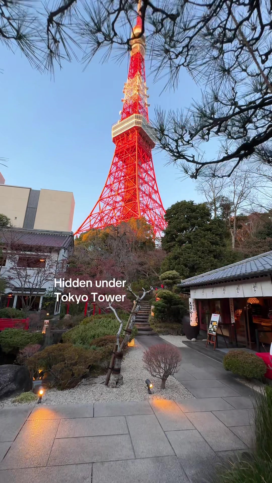 Japanese Restaurants Near Tokyo Tower