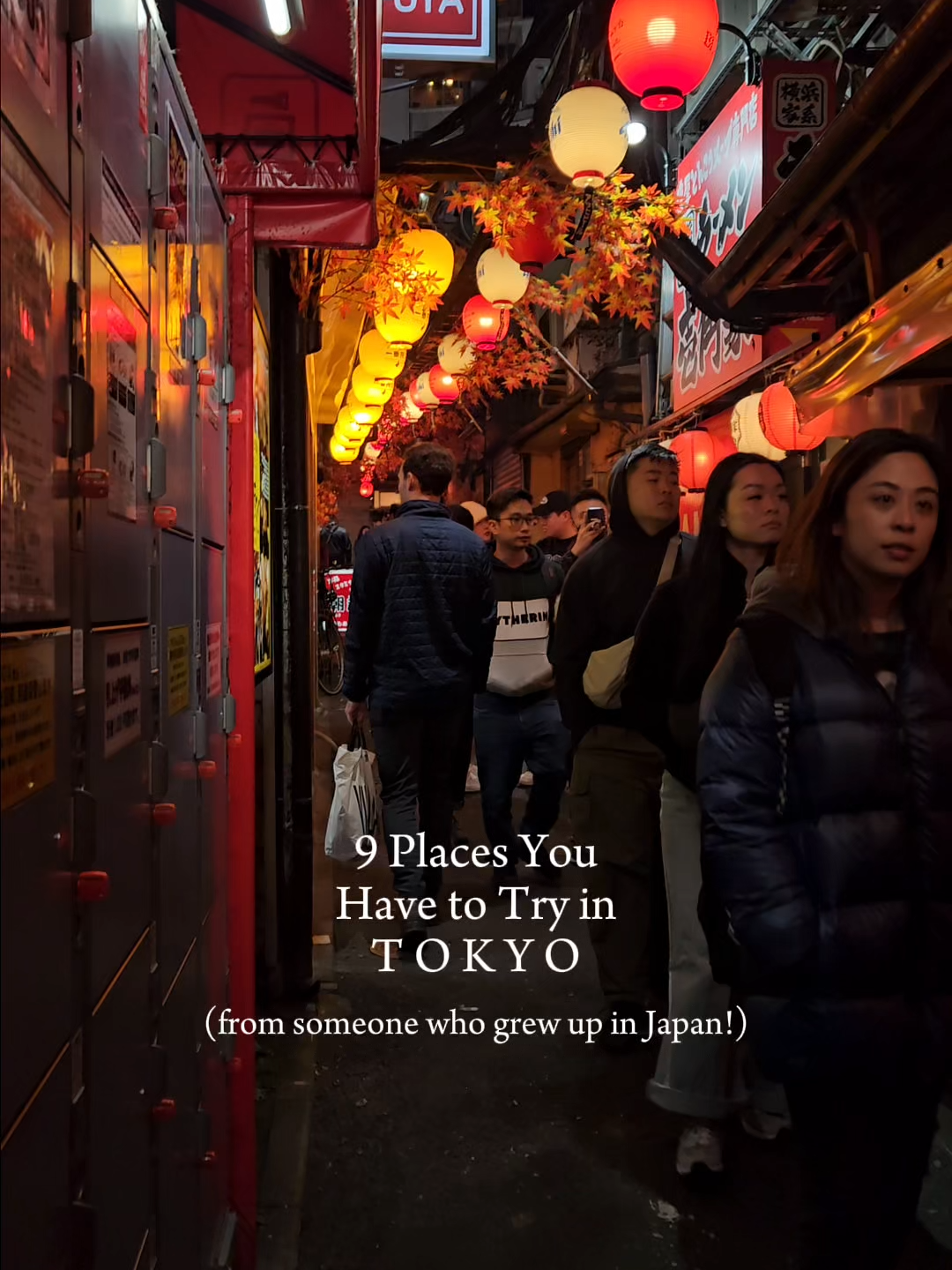 Tokyo's Diverse Culinary Delights: From Udon to Tonkatsu