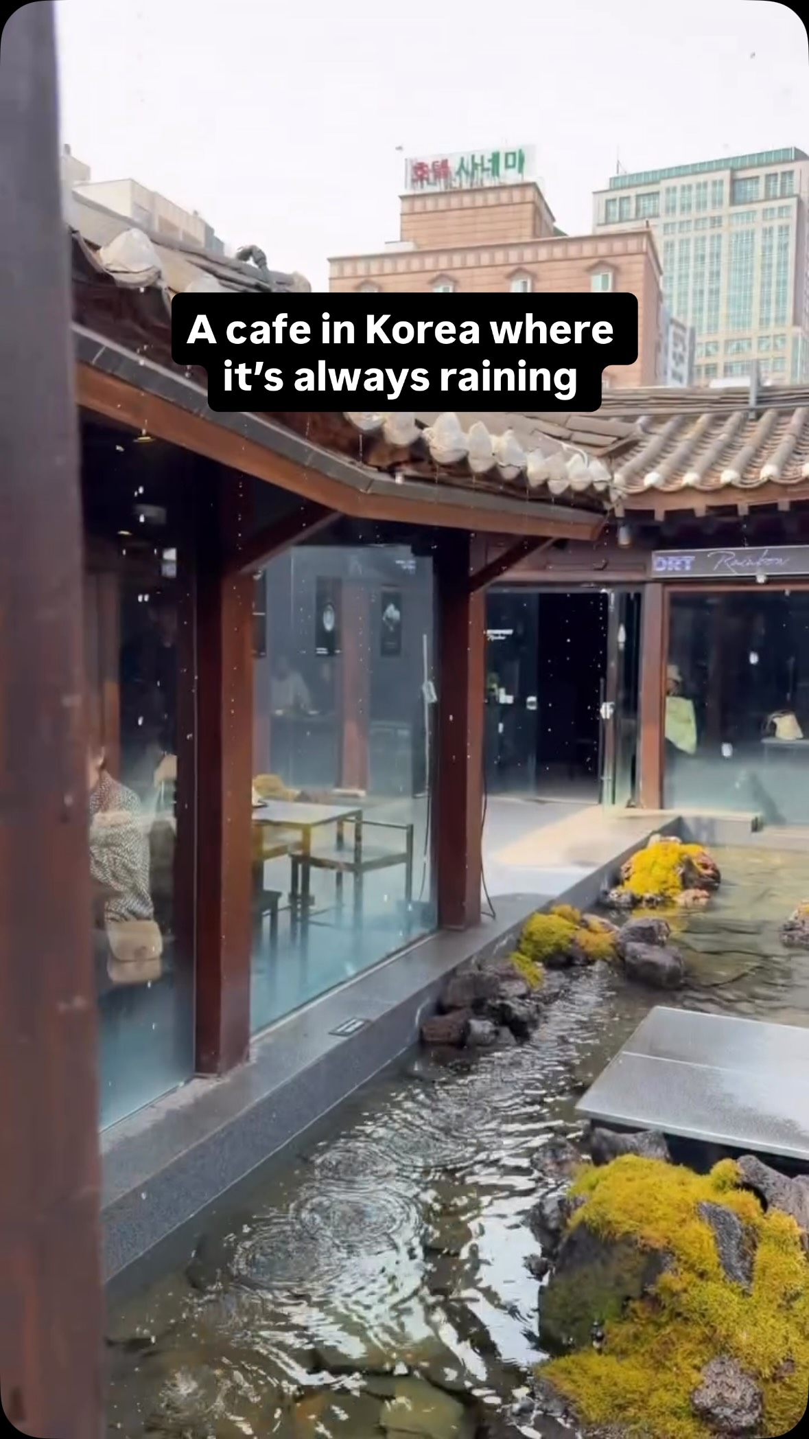 Seoul Cafe Offers Permanent Rainy Day Ambiance