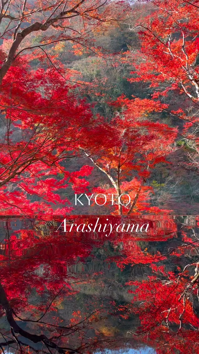 Arashiyama's Autumn Colors Peak in December