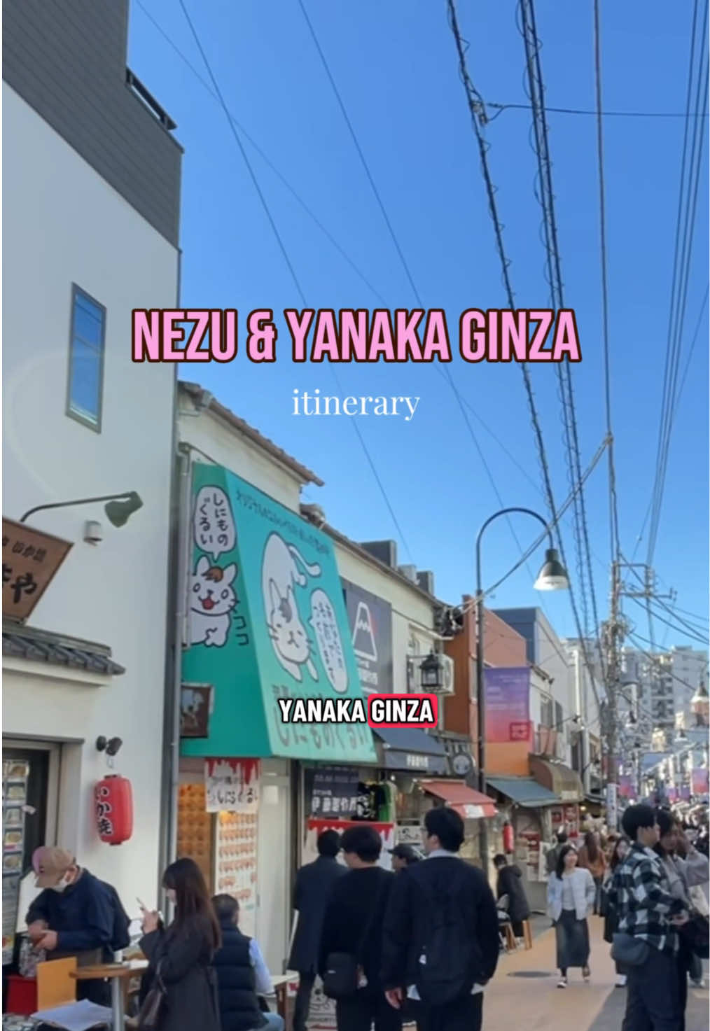 Explore Tokyo's Quiet Yanaka and Nezu Neighborhoods