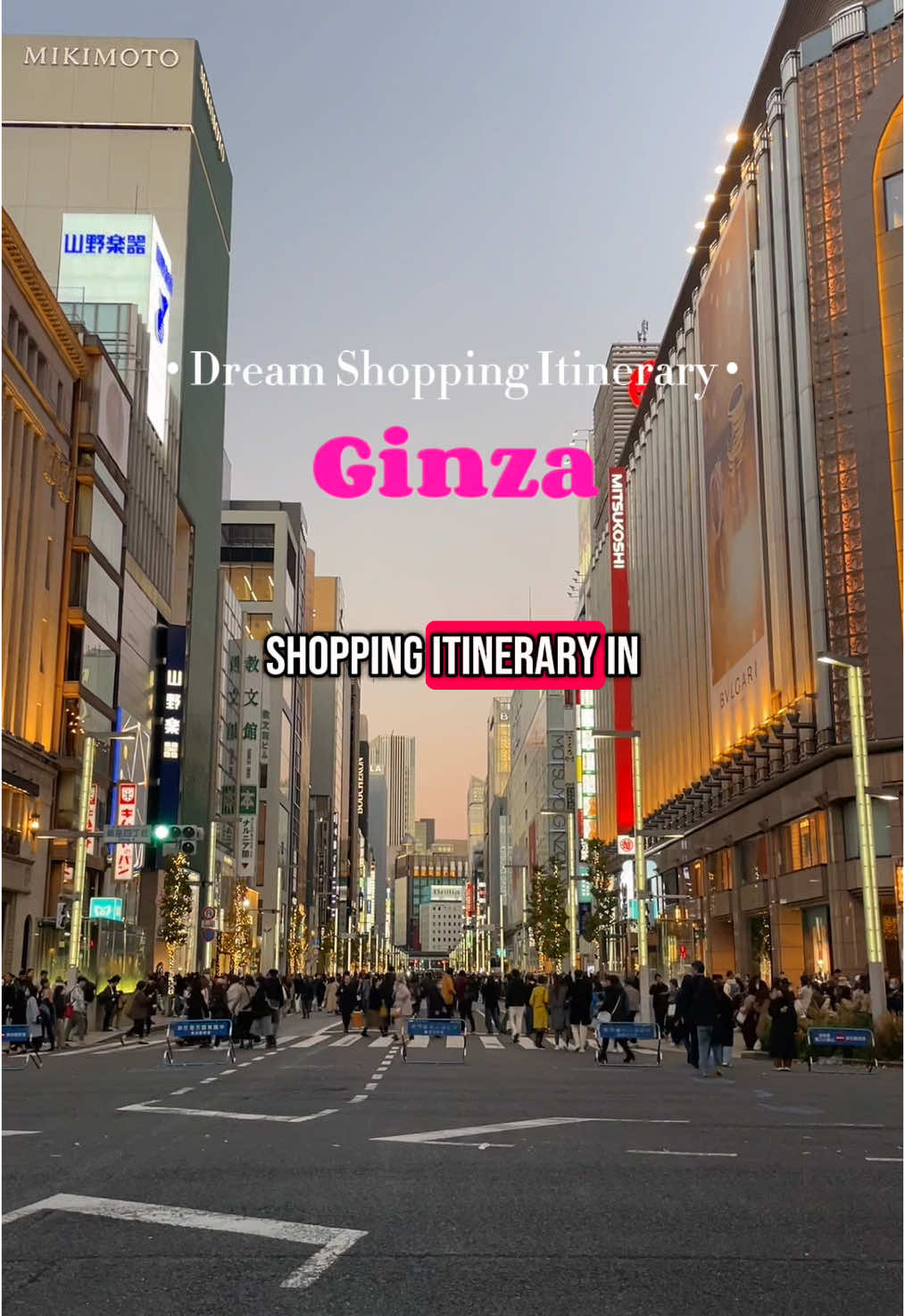 Ginza Shopping and Dining Itinerary