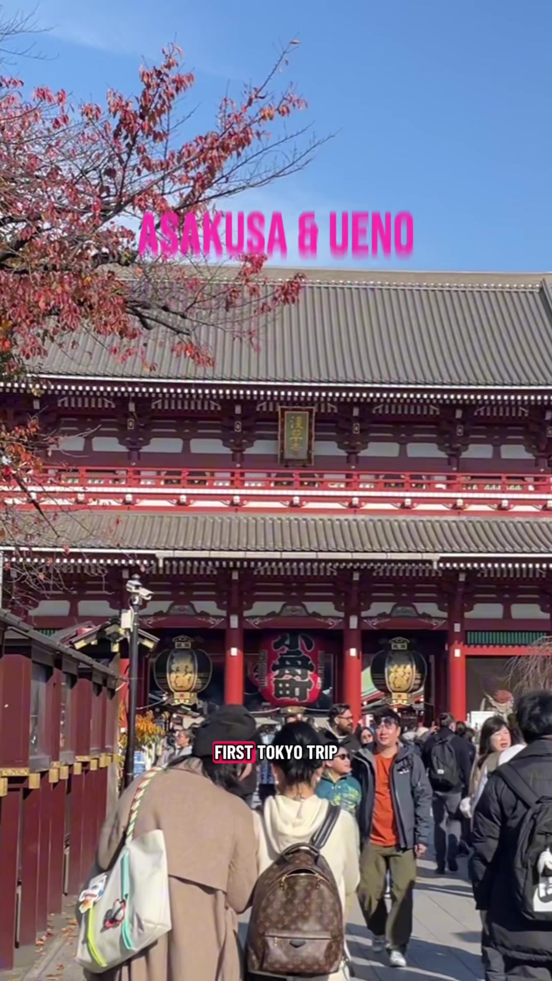 Asakusa and Ueno Attractions for First-Time Visitors