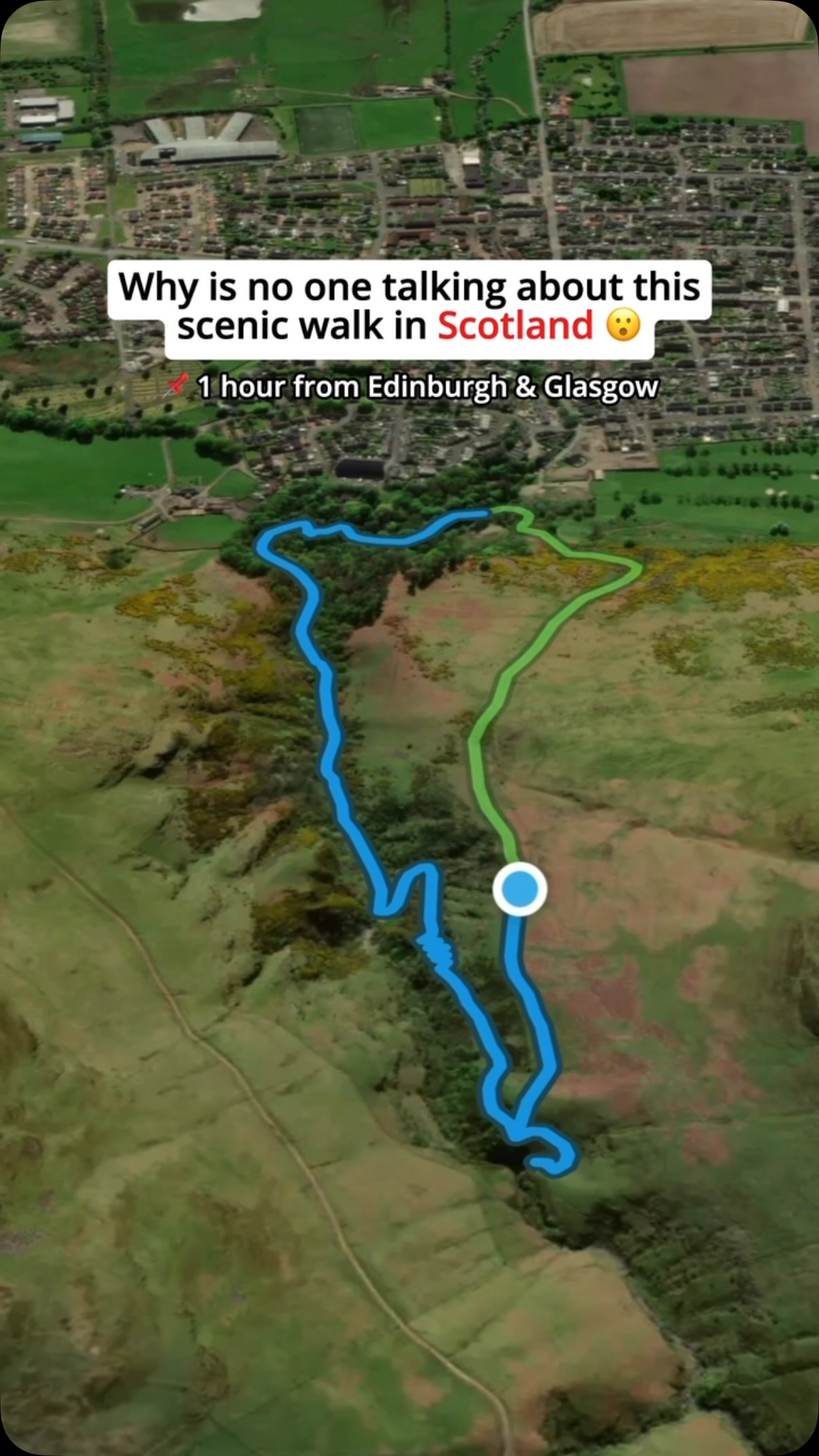 Alva Glen: A Scottish Woodland Waterfall Hike