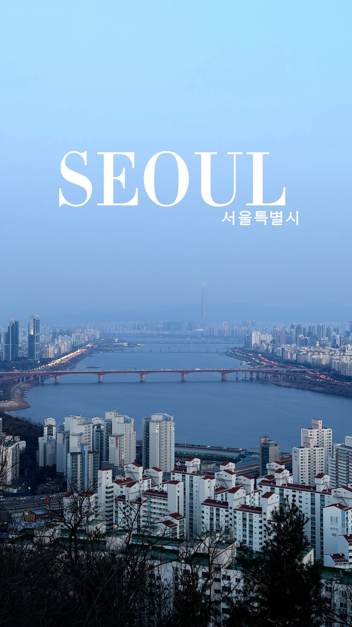 Seoul's Diverse Neighborhoods And Culinary Delights